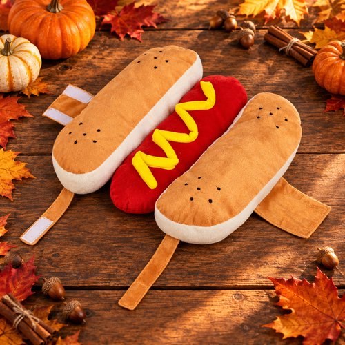 Hot Dog Costume Fall Flat Lay